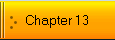 Chapter 13